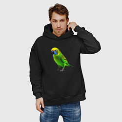 Толстовка оверсайз мужская Зеленый попугай, цвет: черный — фото 2