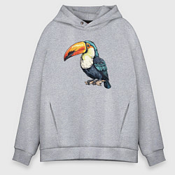 Толстовка оверсайз мужская Яркий тукан на ветке, цвет: меланж