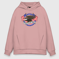 Мужское худи оверсайз United States of America