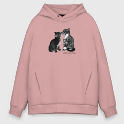 Мужское худи оверсайз Kiss the cats