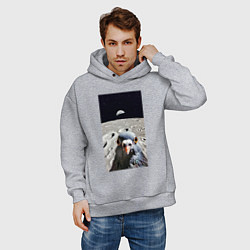 Толстовка оверсайз мужская Голубь на луне делает селфи, цвет: меланж — фото 2