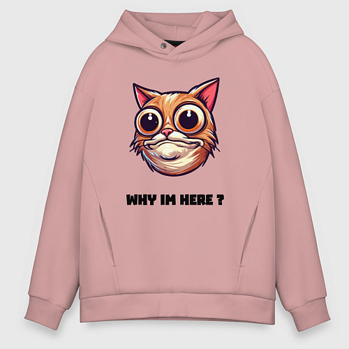 Мужское худи оверсайз Зачем я здесь / Пыльно-розовый – фото 1
