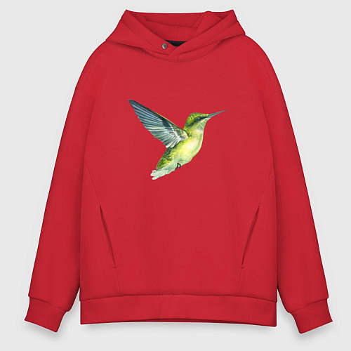 Мужское худи оверсайз Колибри зелёная / Красный – фото 1
