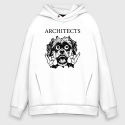 Толстовка оверсайз мужская Architects - rock dog, цвет: белый