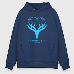 Мужское худи оверсайз Veil Jumpers - Dragon Age