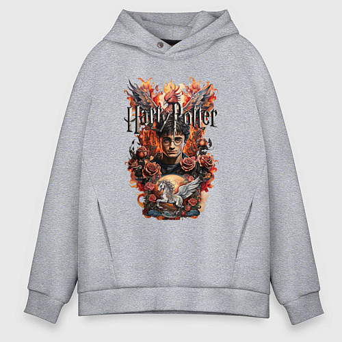 Мужское худи оверсайз Гарри Поттер на фоне феникса и пегаса / Меланж – фото 1
