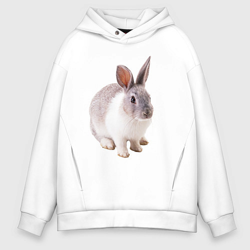 Мужское худи оверсайз Кролик бело-серый / Белый – фото 1