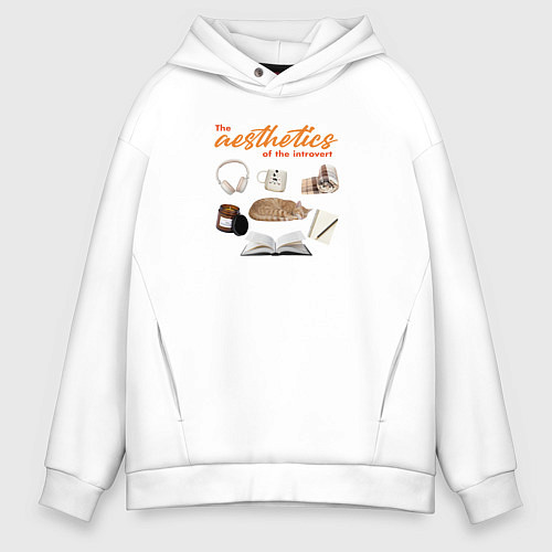 Мужское худи оверсайз Эстетика интровертов / Белый – фото 1