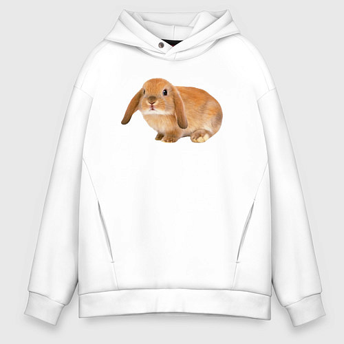 Мужское худи оверсайз Рыжий пушистый кролик / Белый – фото 1