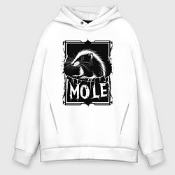 Толстовка оверсайз мужская Крот в рамке, цвет: белый