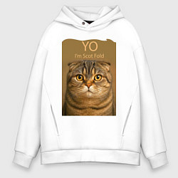 Толстовка оверсайз мужская Yo - Im Scottish Fold, цвет: белый