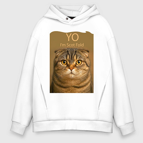 Мужское худи оверсайз Yo - Im Scottish Fold / Белый – фото 1