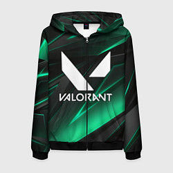 Толстовка 3D на молнии мужская VALORANT, цвет: 3D-черный