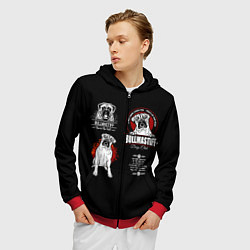 Толстовка 3D на молнии мужская Собака Бульмастиф, цвет: 3D-красный — фото 2
