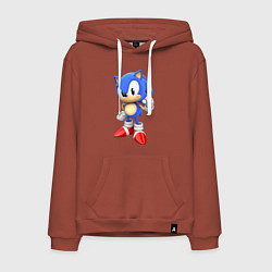 Толстовка-худи хлопковая мужская Classic Sonic, цвет: кирпичный