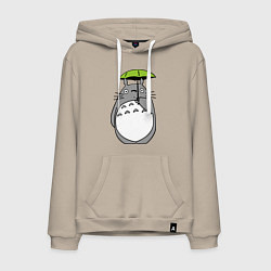 Мужская толстовка-худи Totoro с зонтом