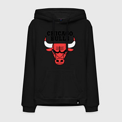 Мужская толстовка-худи Chicago Bulls