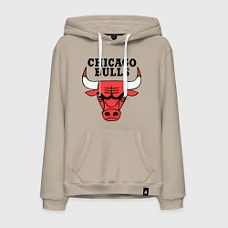 Толстовка-худи хлопковая мужская Chicago Bulls, цвет: миндальный