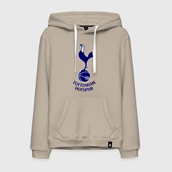 Мужская толстовка-худи Tottenham FC