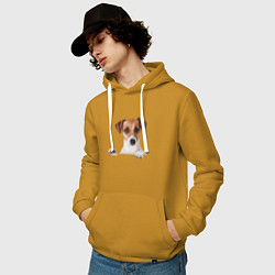 Толстовка-худи хлопковая мужская Собака, цвет: горчичный — фото 2