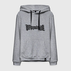 Толстовка-худи хлопковая мужская Амбиграмма Иллюминати, цвет: меланж