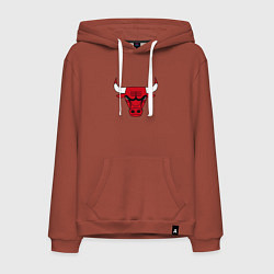 Толстовка-худи хлопковая мужская CHICAGO BULLS, цвет: кирпичный