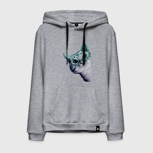 Мужская толстовка-худи Любопытный кот / Меланж – фото 1