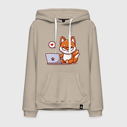 Толстовка-худи хлопковая мужская Cute fox and laptop, цвет: миндальный