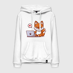 Мужская толстовка-худи Cute fox and laptop