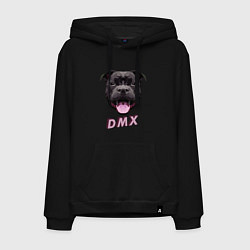 Мужская толстовка-худи DMX Low Poly Boomer Dog