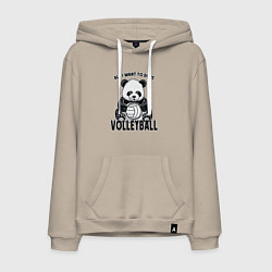 Мужская толстовка-худи Volleyball Panda