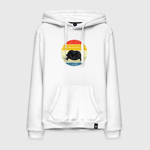 Мужская толстовка-худи Дождевая лягушка на закате / Белый – фото 1