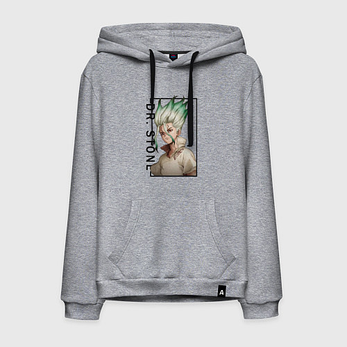 Мужская толстовка-худи Доктор Стоун Сенку Ишигами / Меланж – фото 1