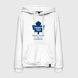 Мужская толстовка-худи Toronto Maple Leafs are coming Торонто Мейпл Лифс