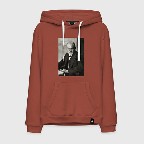 Мужская толстовка-худи Casual freud / Кирпичный – фото 1