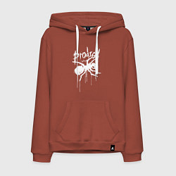 Толстовка-худи хлопковая мужская Draw white logo - Ant, цвет: кирпичный