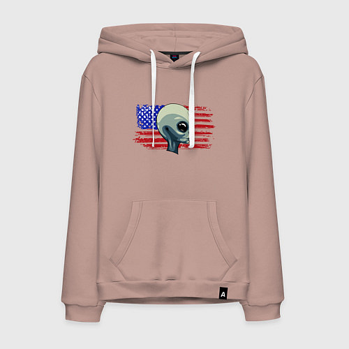 Мужская толстовка-худи USA Alien / Пыльно-розовый – фото 1
