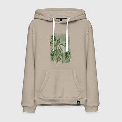 Толстовка-худи хлопковая мужская Нежные листья на акварельном фоне, цвет: миндальный