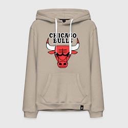 Толстовка-худи хлопковая мужская Chicago Bulls, цвет: миндальный