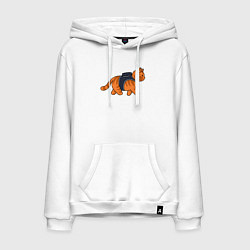 Мужская толстовка-худи Минималистичны котик из stray