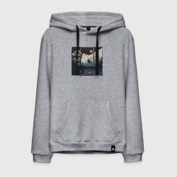 Толстовка-худи хлопковая мужская Оранжевая луна и тарзанка, цвет: меланж