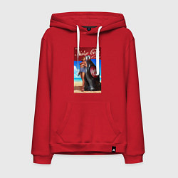 Толстовка-худи хлопковая мужская Fallout nuka - cola, цвет: красный