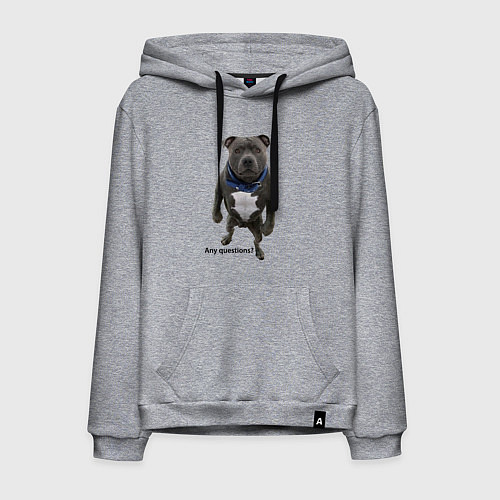 Мужская толстовка-худи Вопросов нет - питбуль - мощь / Меланж – фото 1