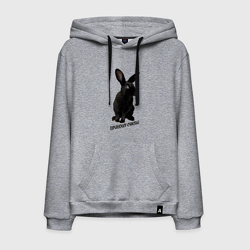 Мужская толстовка-худи Приношу счастье, черный кролик, символ 2023 года / Меланж – фото 1