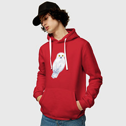 Толстовка-худи хлопковая мужская Белая полярная сова, цвет: красный — фото 2