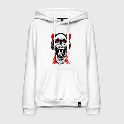 Мужская толстовка-худи DnB skull