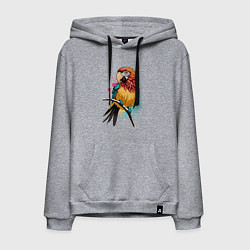 Толстовка-худи хлопковая мужская Акварельный попугай, цвет: меланж