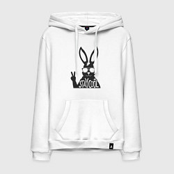 Мужская толстовка-худи Stay cool rabbit