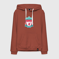 Мужская толстовка-худи Liverpool fc sport collection