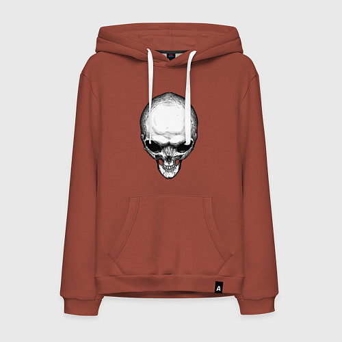 Мужская толстовка-худи Череп инопланетянина с большими глазами / Кирпичный – фото 1